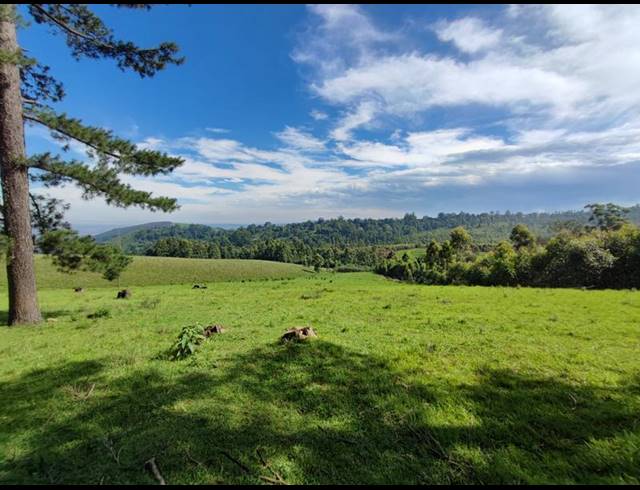 LAND FOR SALE IN WINTERSKLOOF